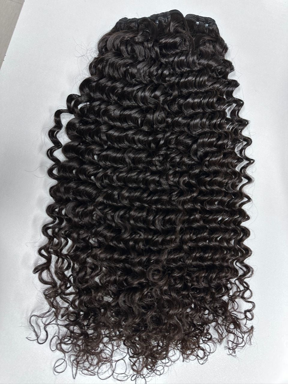 Raw Burmese Curly